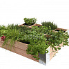 Douglas minigarden vierkante meter 20 x 100 x 100 cm., onbehandeld