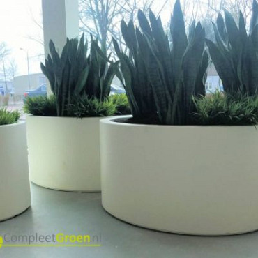 Plantenbak Ellipse met bodem polyester 115x80x60 cm