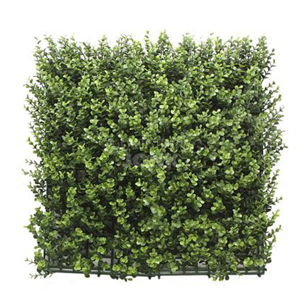 Kunsthaag Sylvana Buxus 100x100 cm